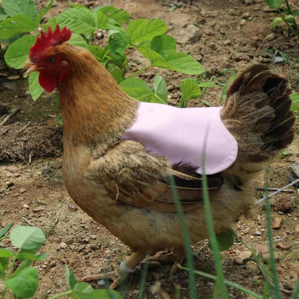 Canvas Chicken Apron Hen Saddle Vest Hen Duck Wing Protection Chicken Jackets Hen Aprons Poultry Care Accessories โ image 4