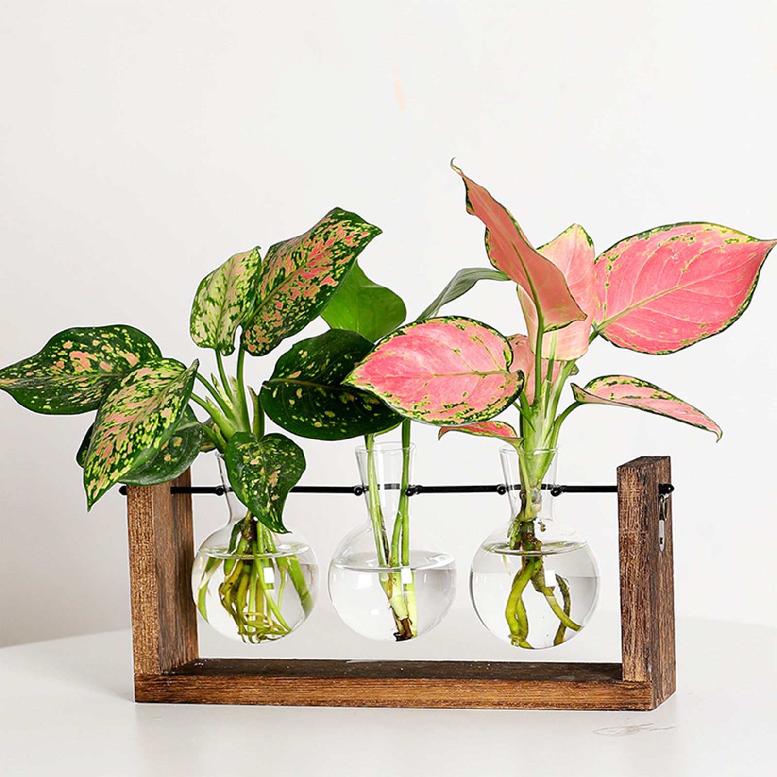 Wall Mounted Hydroponic Vase Green Plant Wooden Frame Vase for Living Room Home Decor — image 5