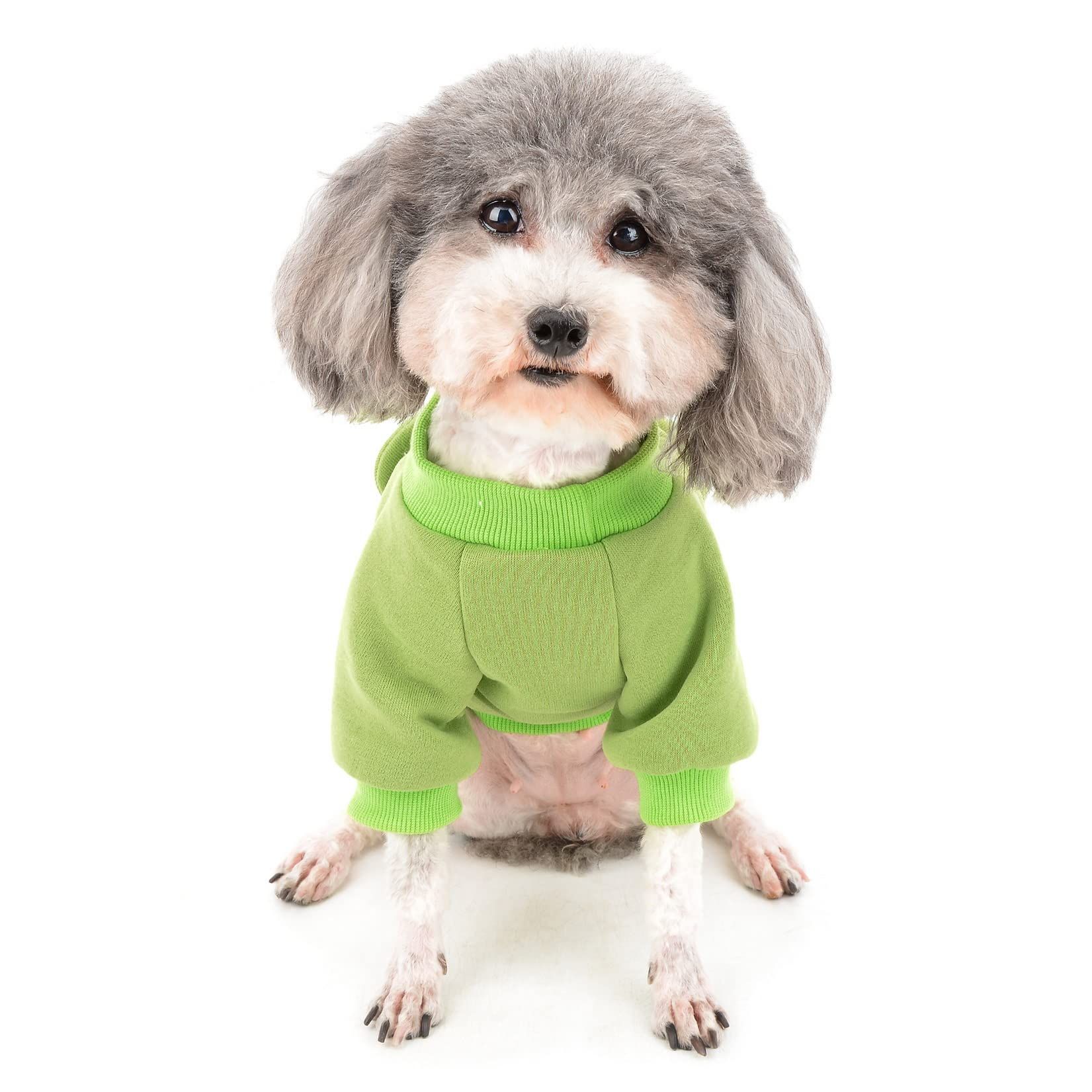 Cute Dog Clothes for Small Dogs Winter Sweater Warm Fleece Soft Pet Sweatshirt Print Cat Clothe, Green, Small — image 2