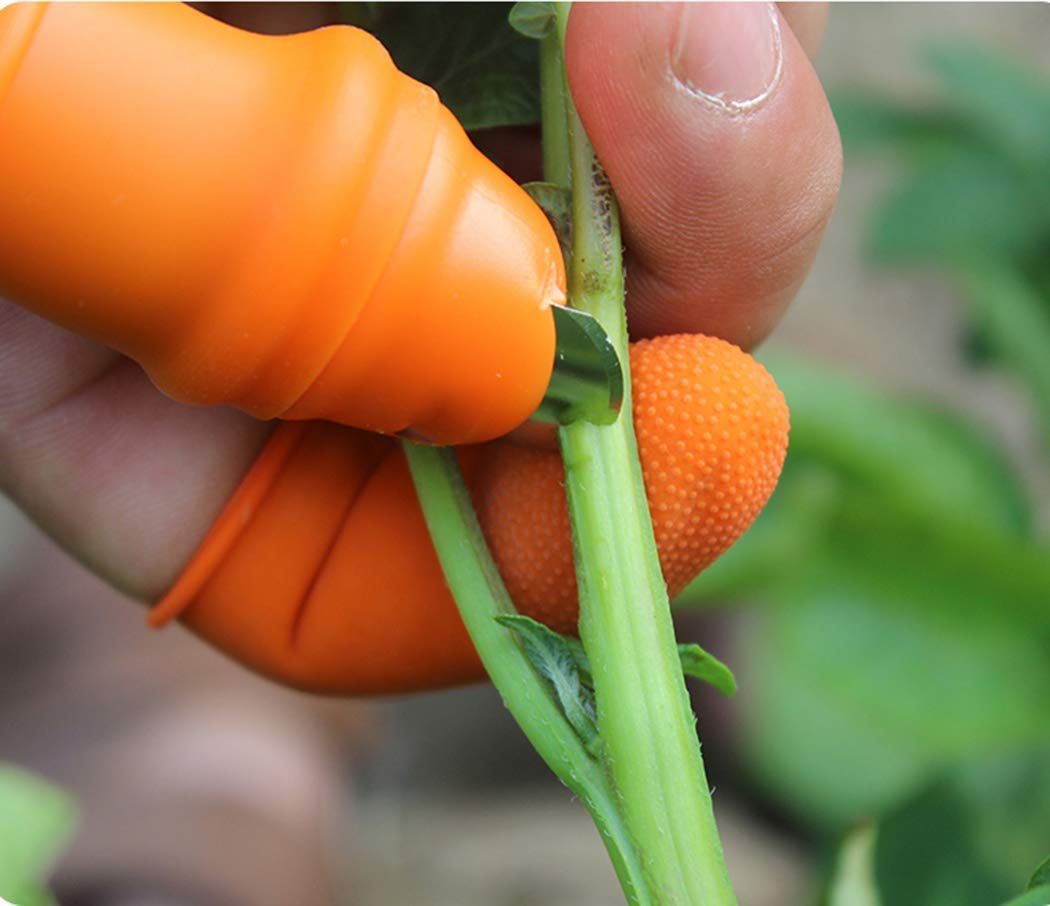 2PCS Fruit and Vegetable Picking Potted Plants Trim Silicone Thumb Knife Set Picking Portable Knife Garden Tools — image 5