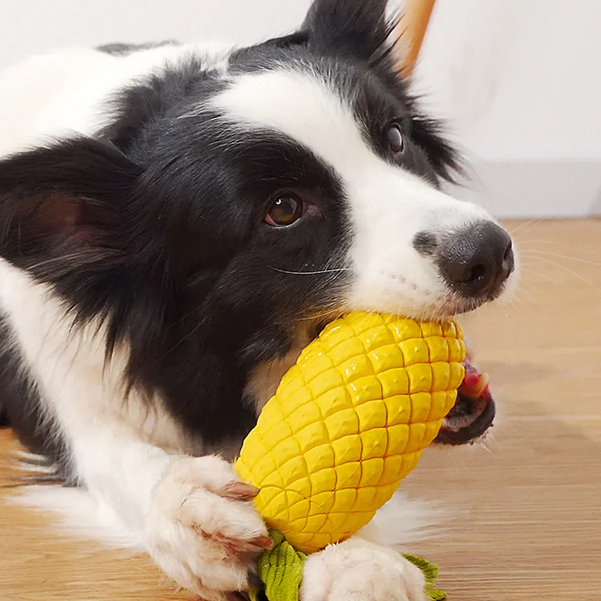 Dog Rubber Pineapple Toy Bite Molar Tooth Interactive Sound Resistant Pet Toy — image 4
