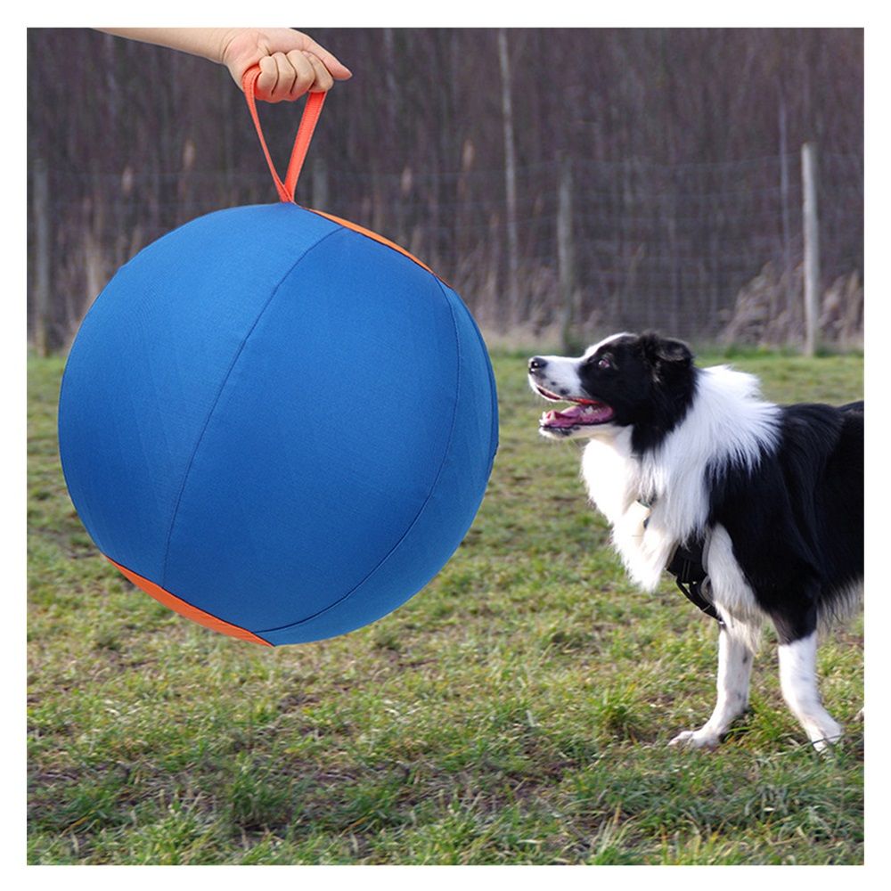 Herding Ball for Dogs, 18" Large Ball Interactive Dog Toys for Medium & Large Dogs, Complete Set Dog Ball with Hand Pump, Horse Ball for Playing, Pet Ball Toy โ image 3
