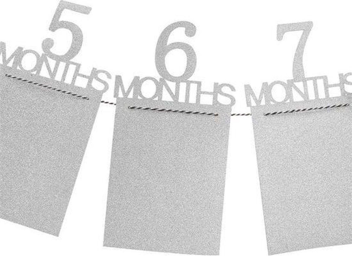 1-12 Month Baby Milestone Photo Garland, First-Year Picture Display Banner, Silver — image 2