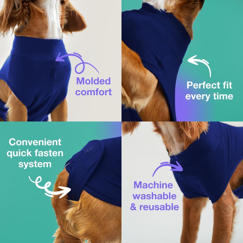 XS Blue Premium Pet Physiological Suit - Comfortable & Breathable Bamboo Modal Recovery Suit — image 2