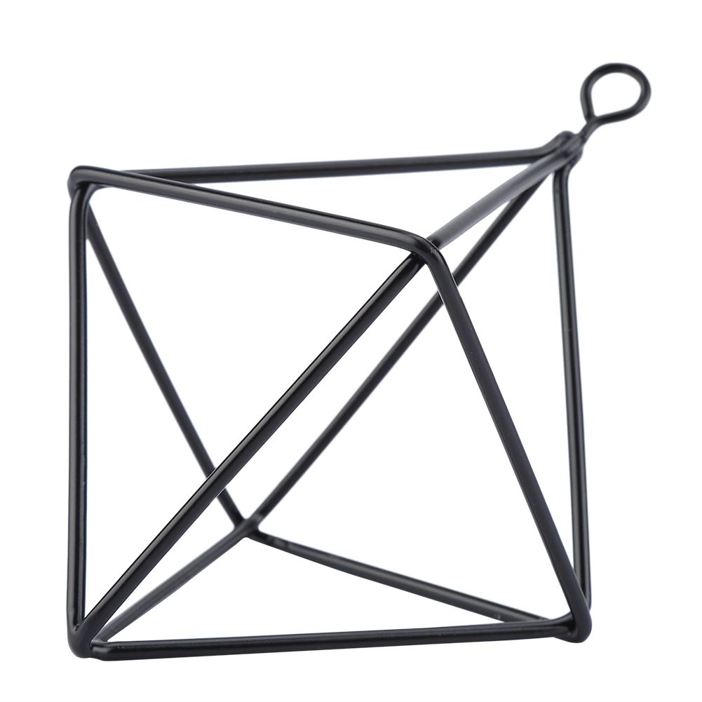Geometric Air Pants Holder Fashionable Flowers Bromeliads Hanging Rack Home Decor Black โ image 3
