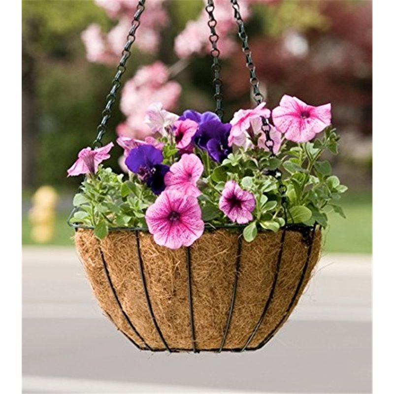 Series Hanging Basket, 8-Inch with Chain Metal Hanging Baskets for Plants Outdoor Hanging Flower Pots Outdoor Decorative Round Wire Plant Holder — image 3