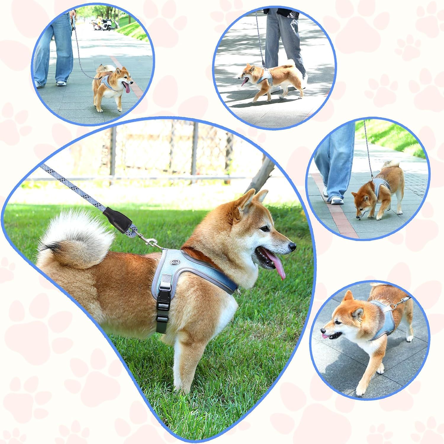 Dog Harness and Leash, No Pull Saddle Style Pet Harness, Breathable Mesh Adjustable Reflective Dog Vest, Dog Leash, for Dogs and Cat Medium Small Harness — image 6