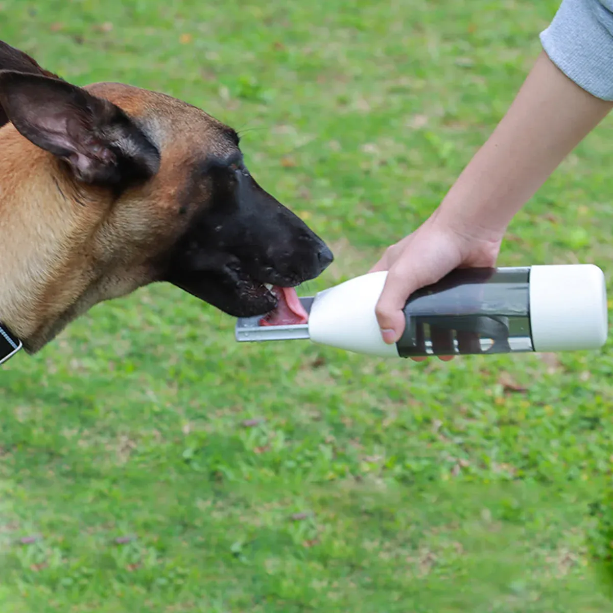 Pet Water Bottle Leakproof 350ml with 120ml Food Compartment White — image 4