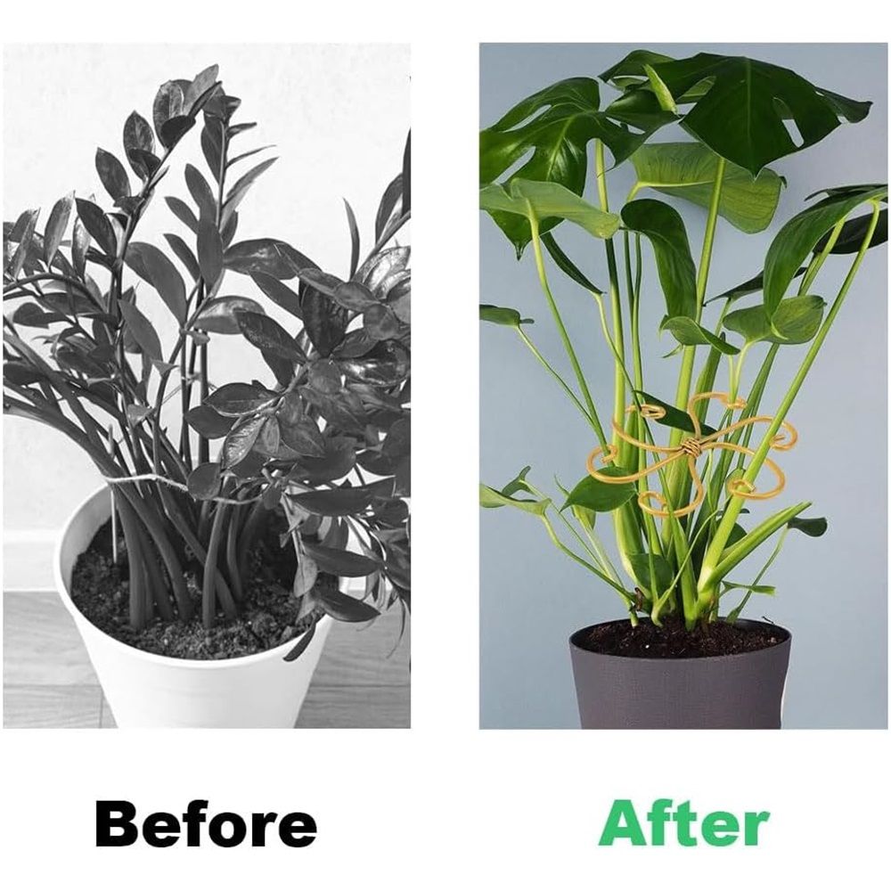 6 pack New iron Plant Stem Support Set, Flower Climbing Plant Support Plant Trellis, Indoor Plants (Round, Rustic) — image 3