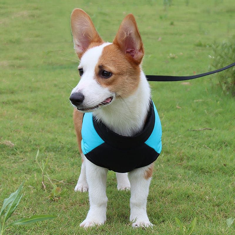 Winter Dog Ski Jacket with Waterproof and Windproof Polyester Shell, Thick PP Cotton Padding for Warmth, 3D Ergonomic Fit with D-Ring Leash Attachment, Ideal β image 3