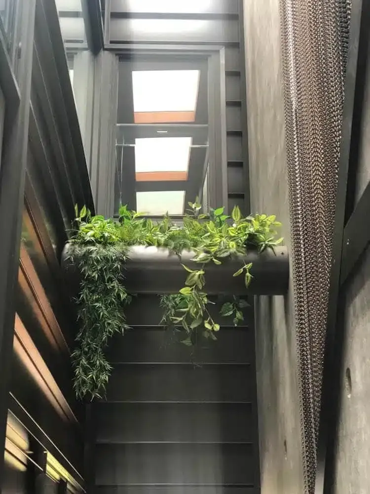 Mixed White and Green Hanging Philodendron Bush 80cm — image 2