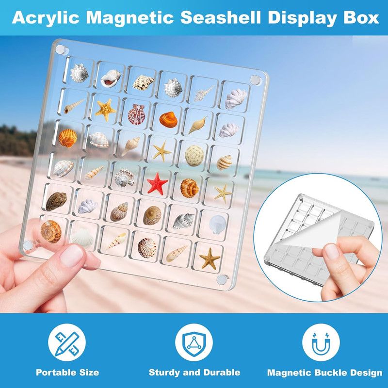 Acrylic Magnetic Seashell Display Box,Clear Sea Shell Display Box,Beach Magnet Storage Organizer Case for Seashell Diamond Beads,36 Grids,Transparent,1 Pack โ image 5