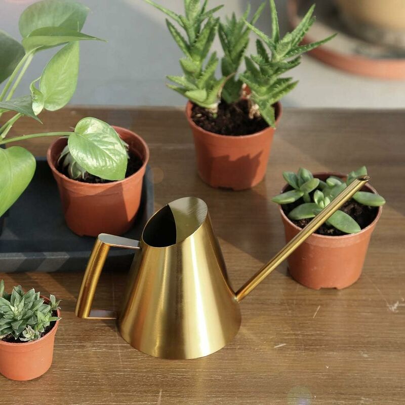 Stainless Steel Watering Can With Long Narrow Nozzle, Garden Plants Flower Tool, Ideal For Home, Garden, Balcony โ image 4