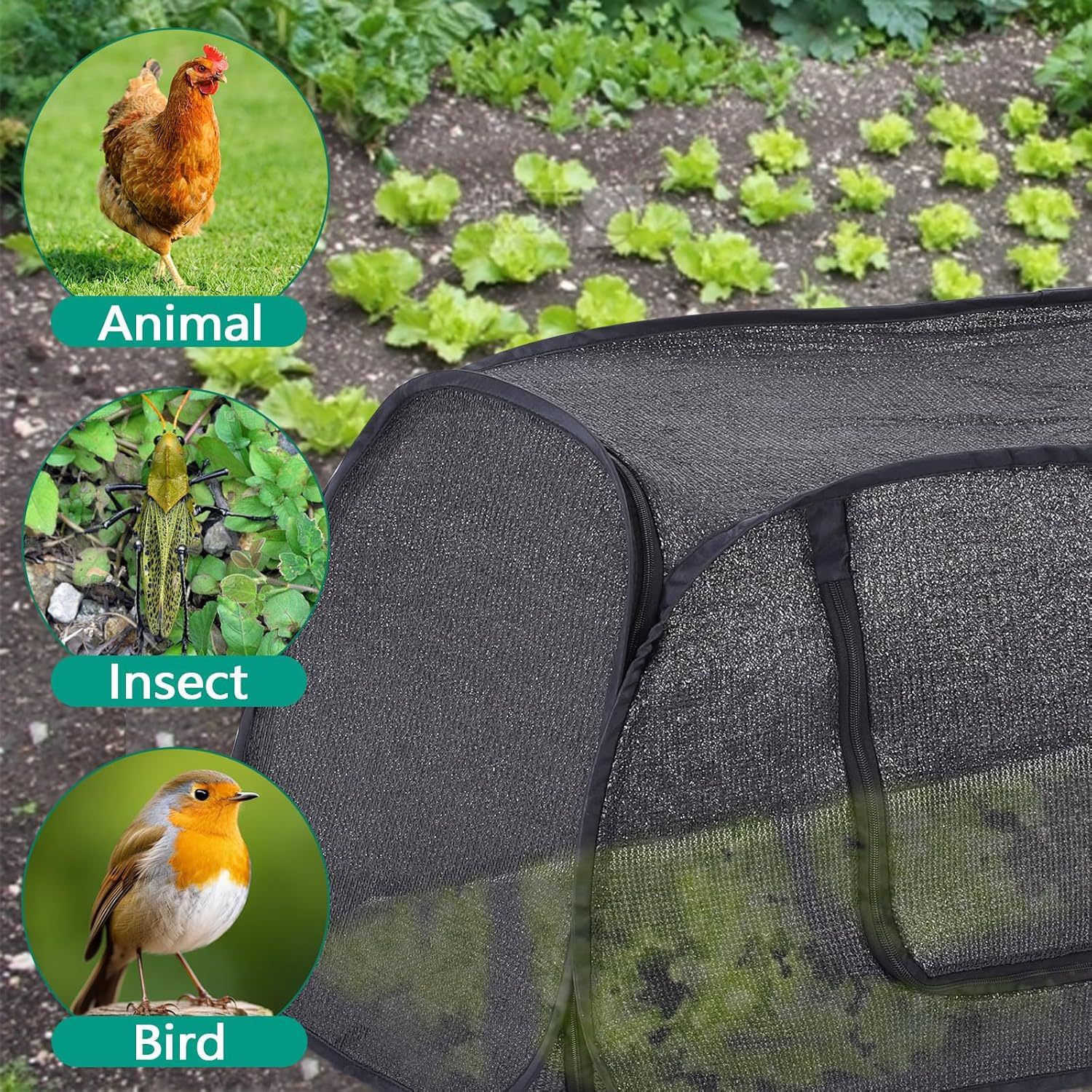Garden Cover for Raised Beds Pop-Up Mesh Plant Garden Bed Cover for Vegetables, Seedlings, Fruits, Frost Protection, Outdoor Gardening Bird and โ image 4