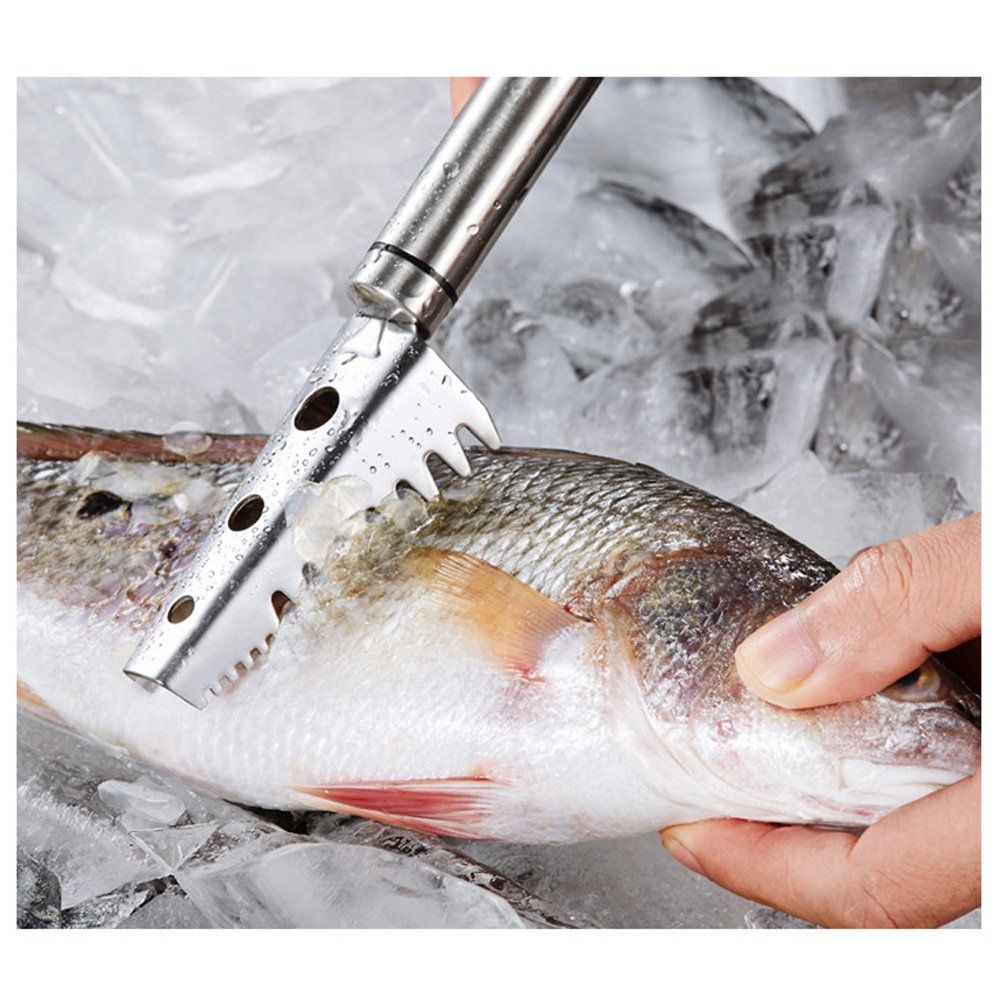 Fish Scale Remover, Fish Scales Scraper with 304 Stainless Steel Sawtooth for Fast Scales Peeling, Silver — image 2