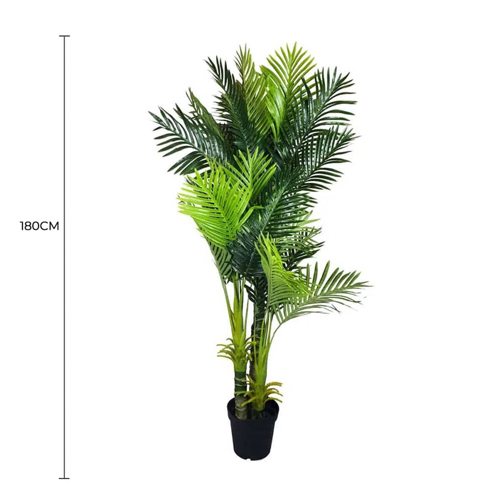 Multi Trunk Hawaii Palm 180cm โ image 2