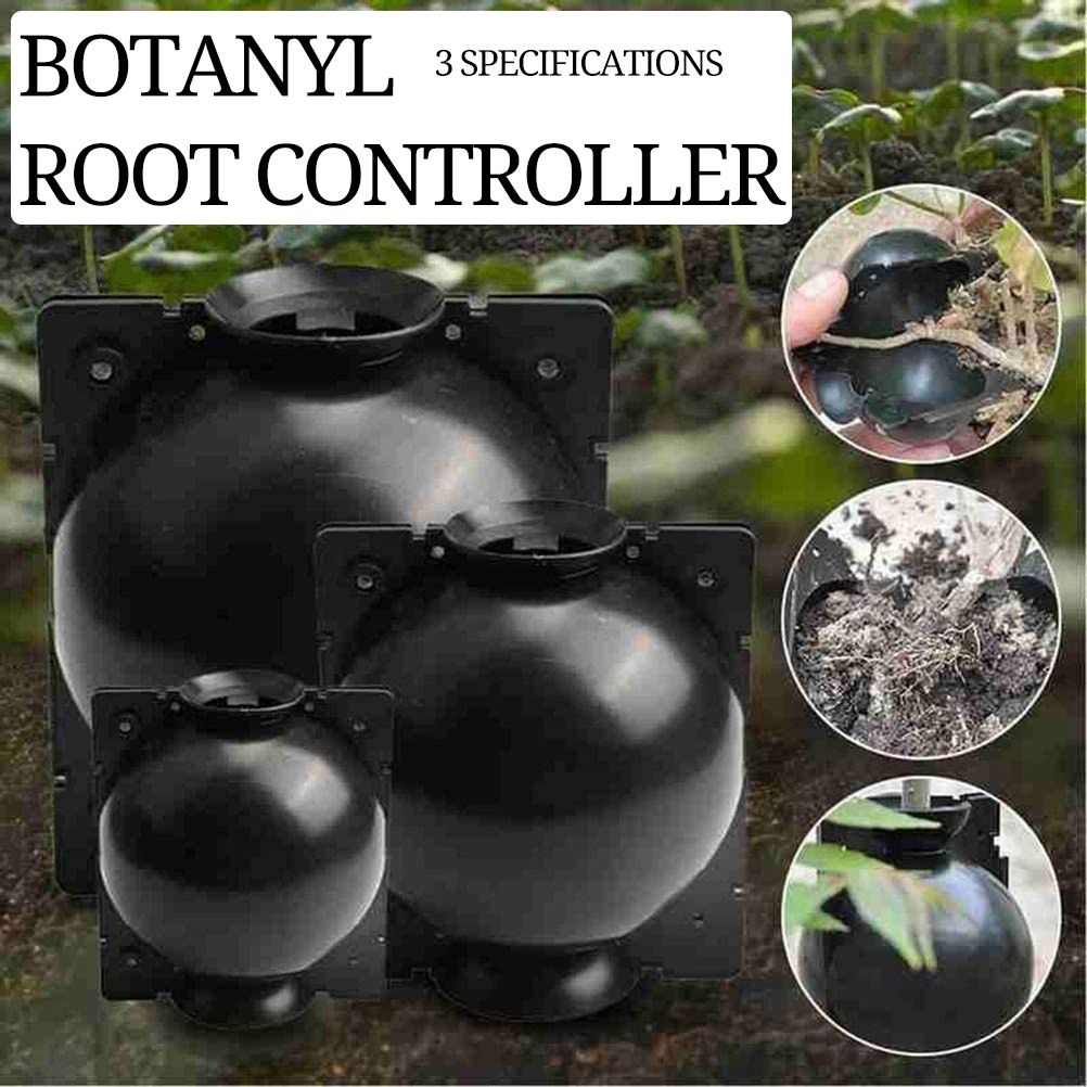 3pcs Plant Rooting Sphere Graft Rooting Growing Box Breeding Crate for Garden Plants — image 3