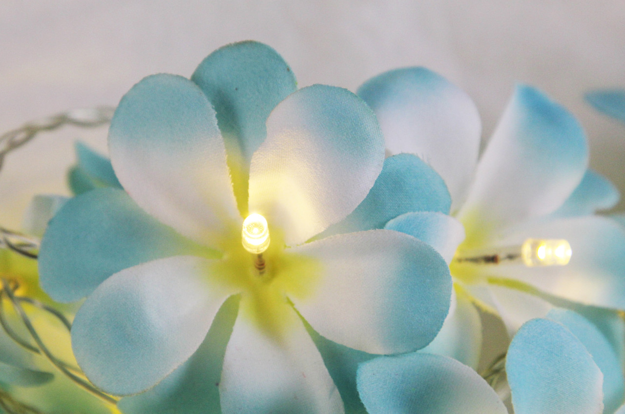 1 Set of 20 LED Tropical Blue Frangipani Flower Battery 3m String Lights Christmas Gift Home Wedding Beach Party Decoration Outdoor Table Centrepiece โ image 5