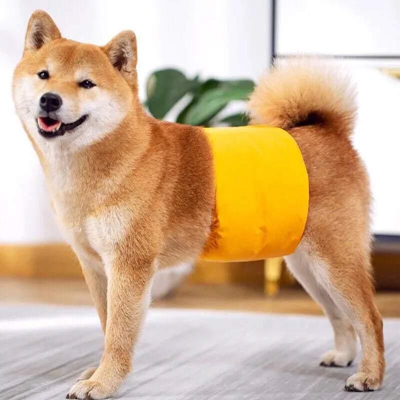 L Male Dog Puppy Nappy Diaper Belly Wrap Band Sanitary Pants Underpants - Yellow — image 6