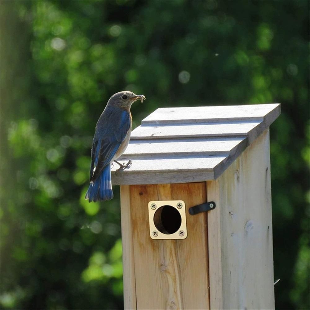 4-piece predator protection device suitable for bird houses, sturdy wooden bird house protection device, predator protection device for bird houses(Inner hole — image 3