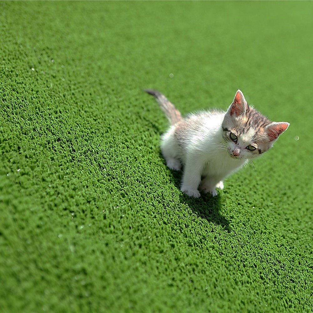 200cm x 250cm Lawn Turf Artificial Grass Mat Carpet Fake Synthetic Garden Landscape โ image 6