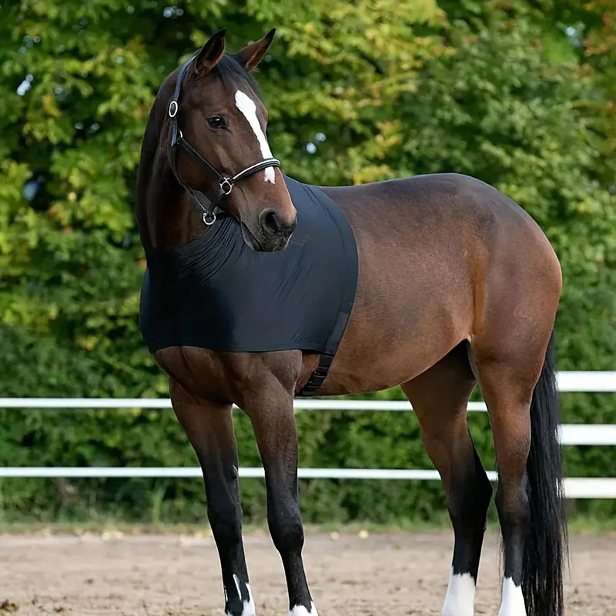Horse Fly Repellent Vest Back Heart Shape Mesh Cover Breathable Anti Mosquito β image 4