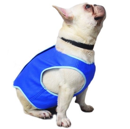 Pet Cooling Vest Summer Dog Cat — image 4