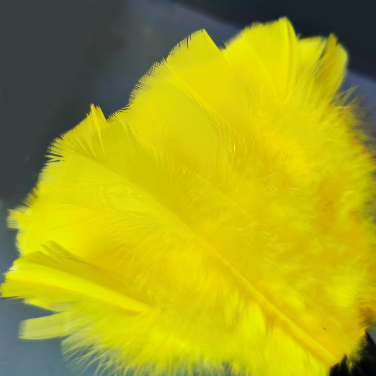 Feather Dusters-Turkey Feather Dusters Cleaning for Car Blinds Kitchen Keyboard Office, Reusable (Yellow) — image 4