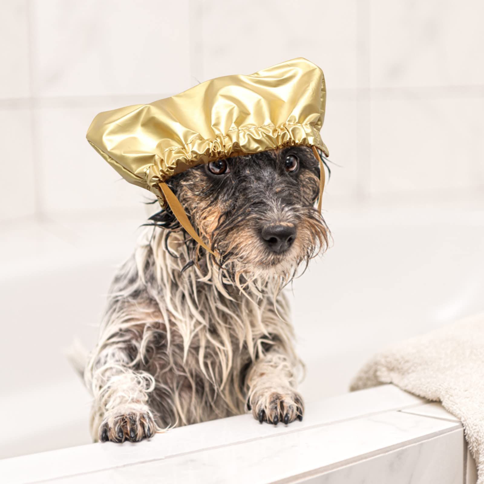 Large Dog Hats Dog Shower Fixed Taking Dogs Shower Bath S Cap for Pets Pet Shower Pet Cap with Adjustable Cap for Ears- Gold — image 4