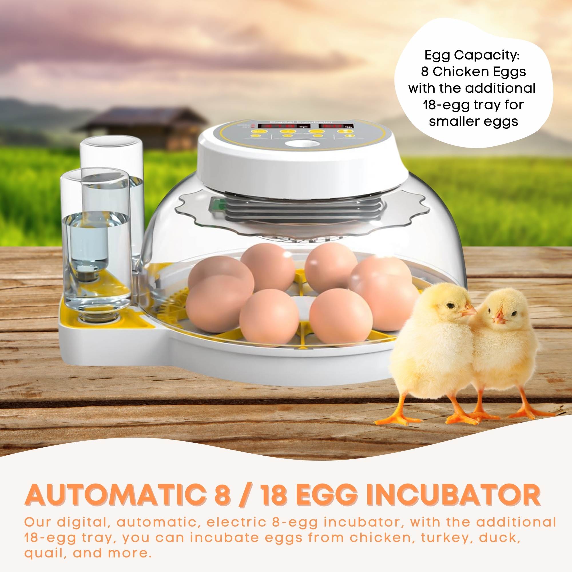 Automatic 8 / 18 Egg Incubator - Electrical Turning Chicken Quail Duck Hatching — image 2