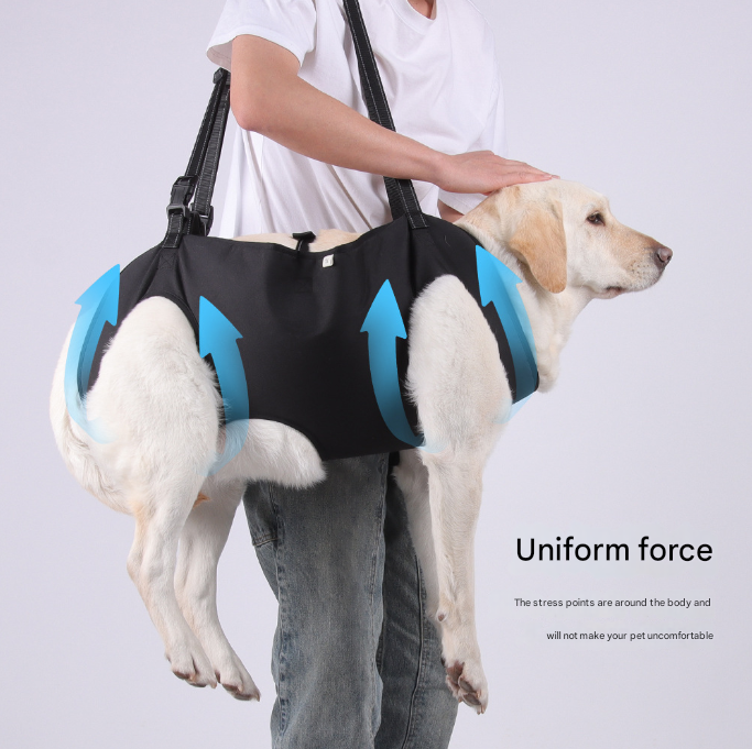 Black Pet Support Harness for Senior and Disabled Dogs - Adjustable Chest and Back Support Leash(Size M) — image 3