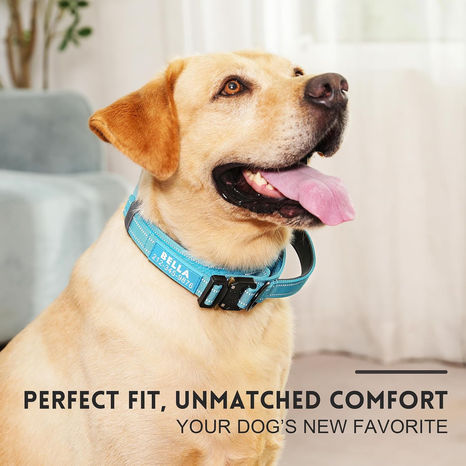 Silicone Dog Tags, Personalized Pet ID Tag for and Cat - Round or Bone Shaped, Deep Engraved, Soft Durable — image 3