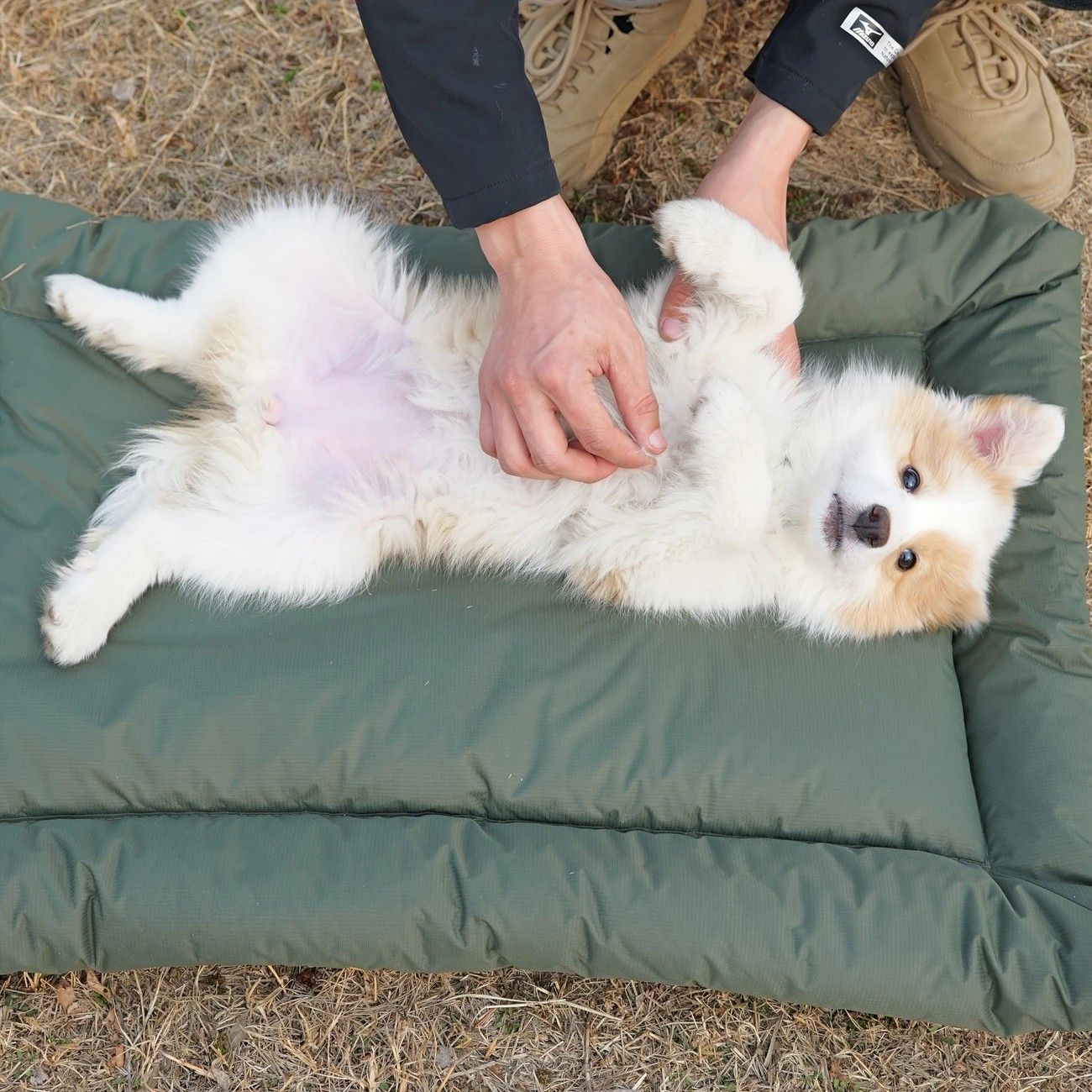 High-Quality Pet Portable Moisture-Proof Mattress, 120 × 80cm Large Size, Foldable for Storage, Wear-Resistant and Waterproof, All-Season Use, Suitable for — image 2