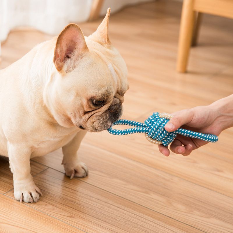 Sour bear Dog Chew Toy Cotton Rope Molar Bite Resistance Two-color cotton ball Blue — image 4