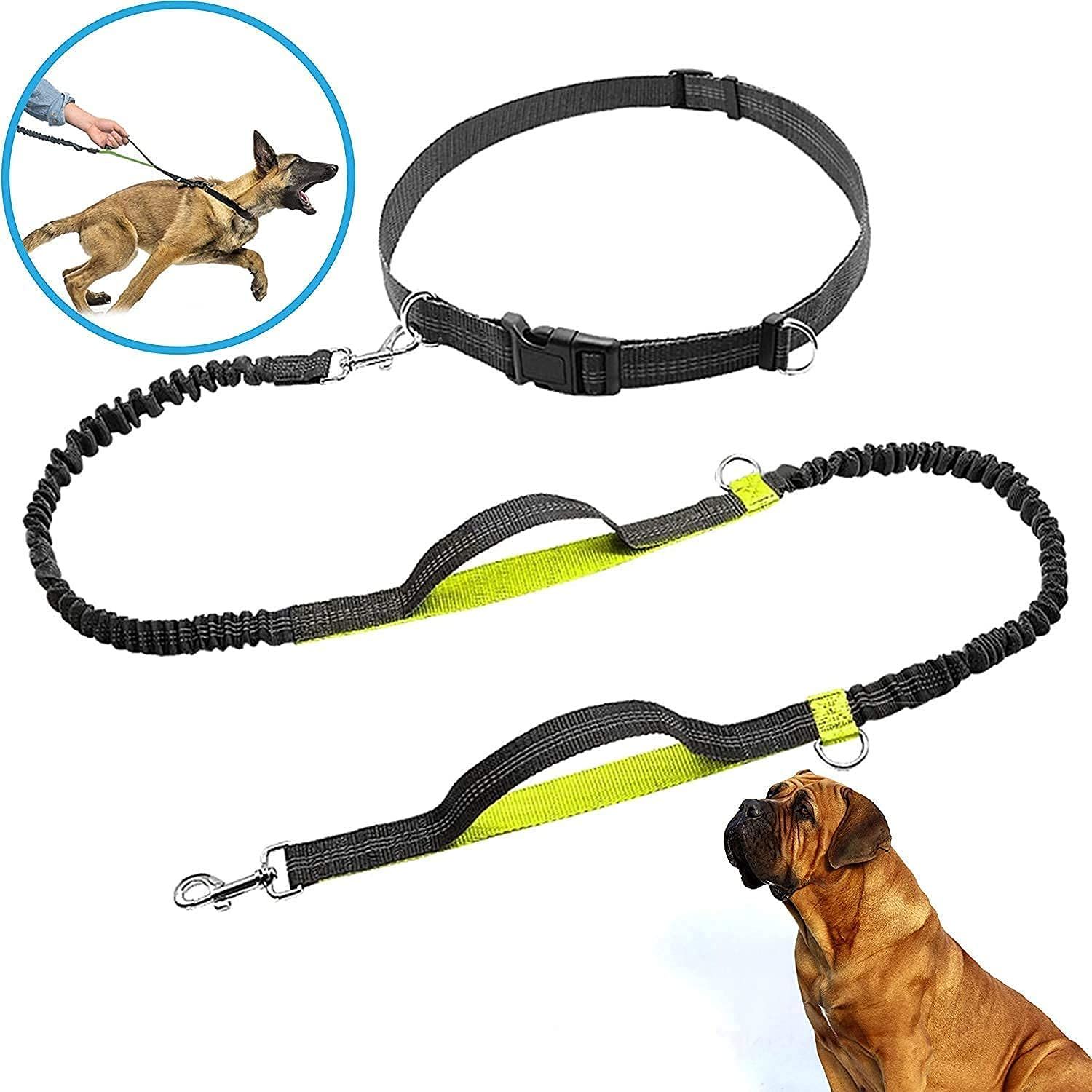 Dog Running Waist Harness with Leashes Handless Dog Leash with Adjustable Belt, Double Bungee Design - Perfect for Running โ image 2