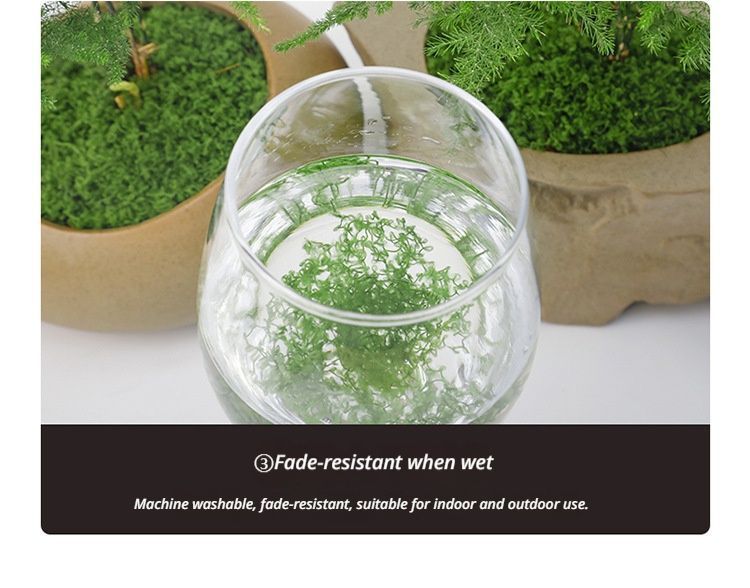 diy artificial moss lawn-Dark Green Filamentous Moss 1000g (Bulk) — image 5
