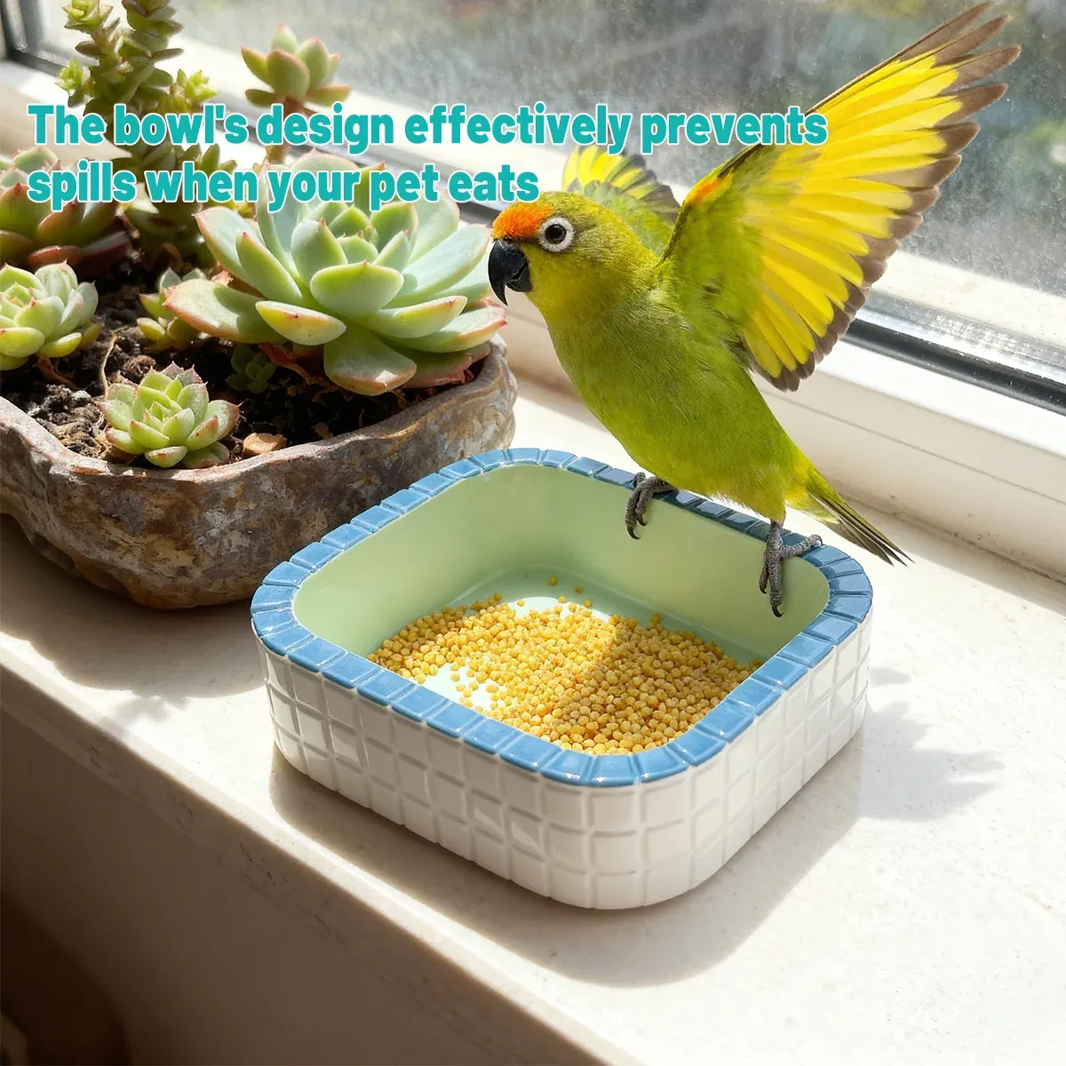 Small Pet Water Food Bowl Non Slip Durable for Birds Small Animals — image 5