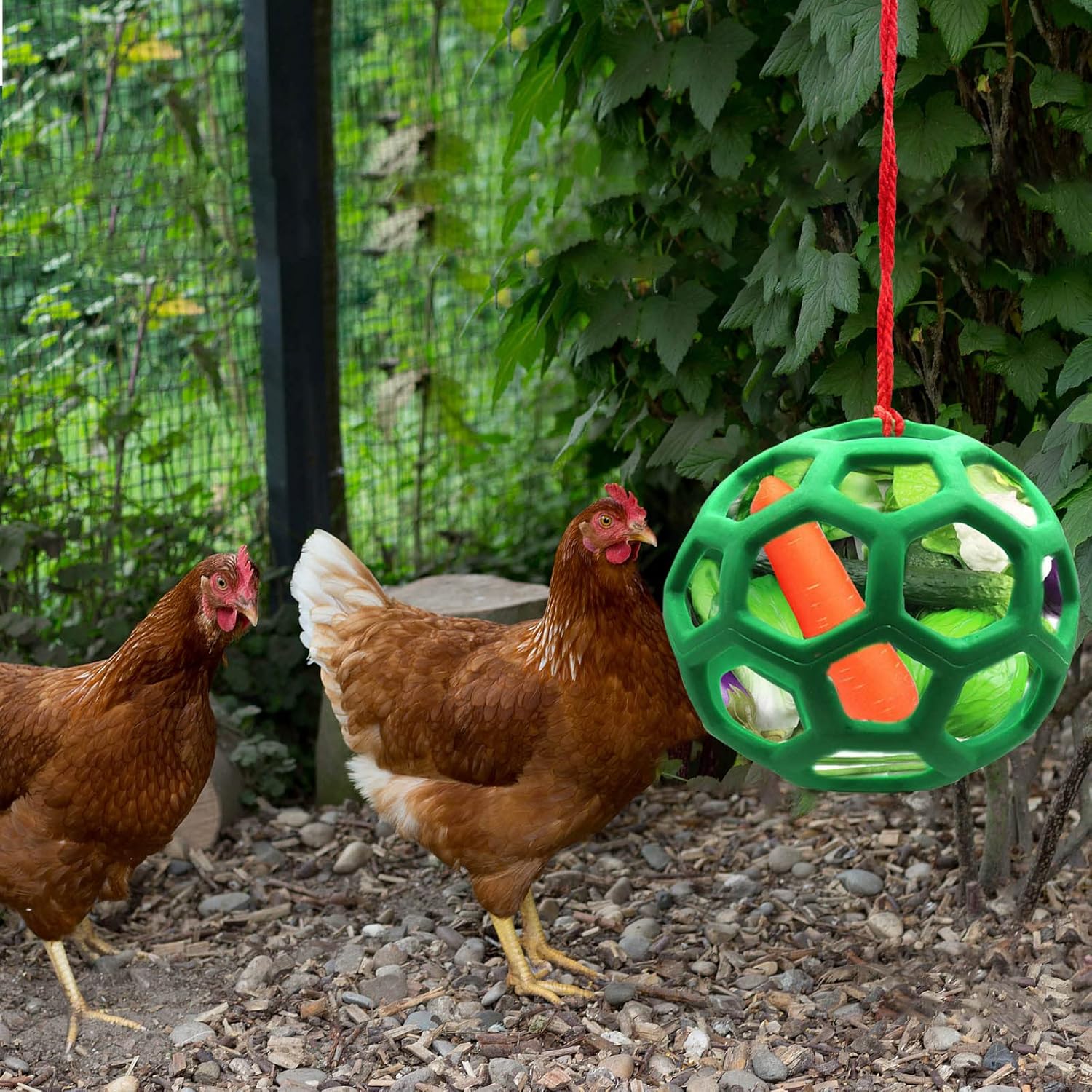 2pcs Chicken Vegetable Feeder Ball Hanging Feeding Toy, Poultry Fruit Holder Chicken Cabbage Feeder Treat Feeding Tool for Hens Chicken Coop Goose Duck Large — image 2