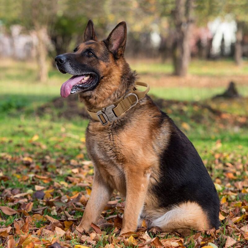 Tactical Dog Collar - Military Dog Collar With Control Handle, Adjustable Nylon Padded Dog Collar For Medium Large Dogs — image 4
