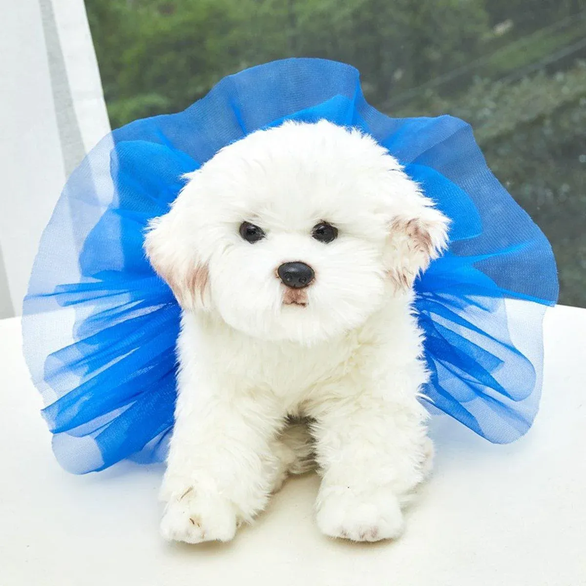 Strappy Pet Skirt Dog Saree Half Skirt Cute Pet Clothing Dress for Dogs Cats - Blue-M — image 5