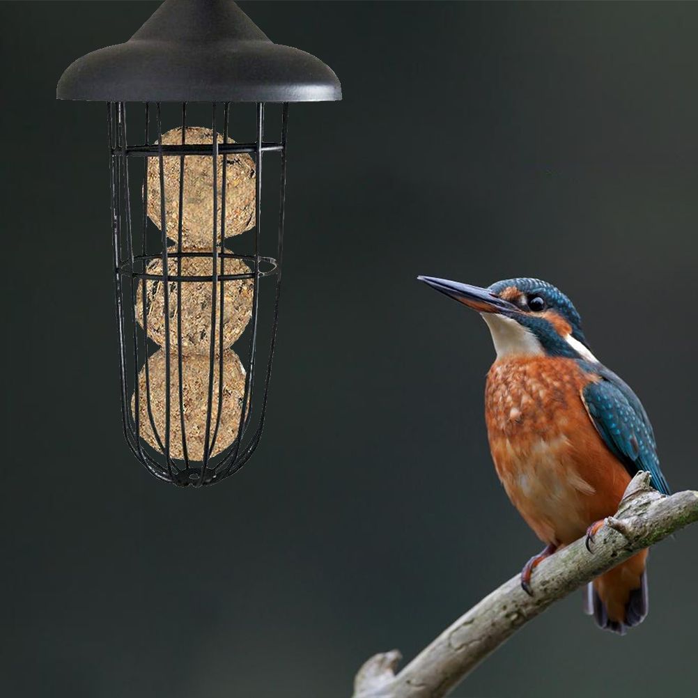 Outdoor Bird Feeder Hanging Fat Ball Holder Metal Bird Feeder Bird Food Dispenser โ image 6