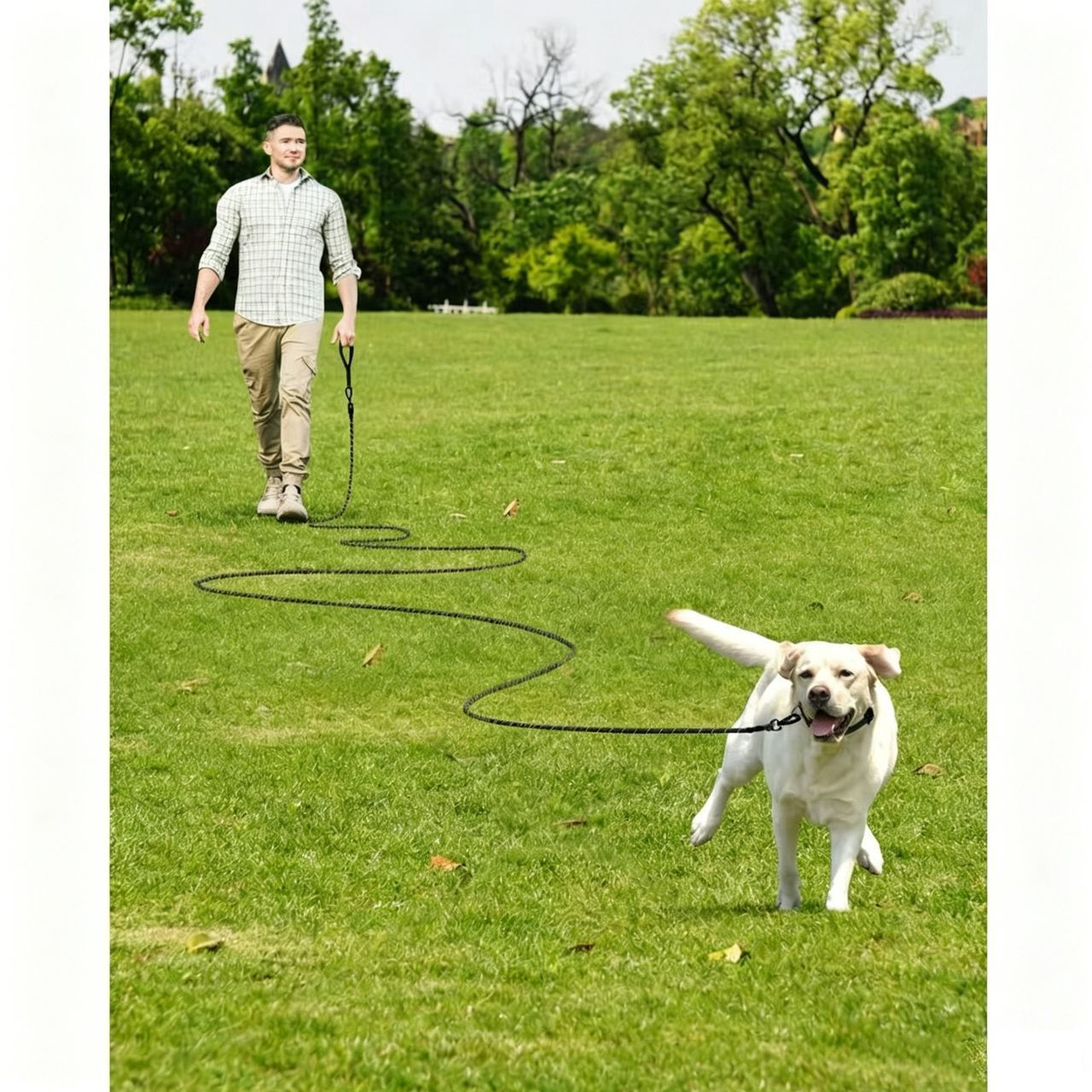 Large Dog Leash Orange 03 — image 5