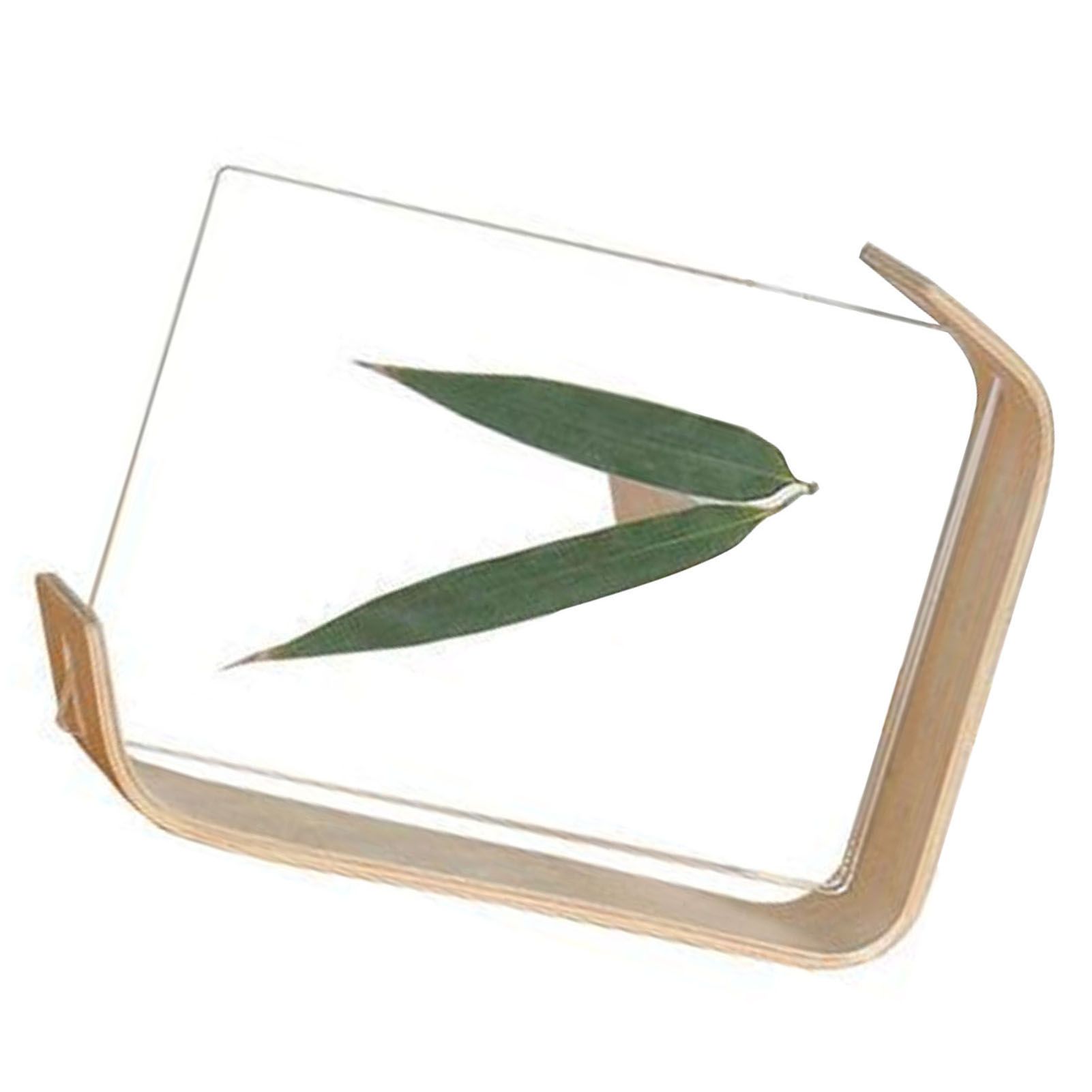 Desktop Plant Specimen Frame Wooden Acrylic Simple Modern Photo Frame Desktop Ornament Home Decoration — image 5