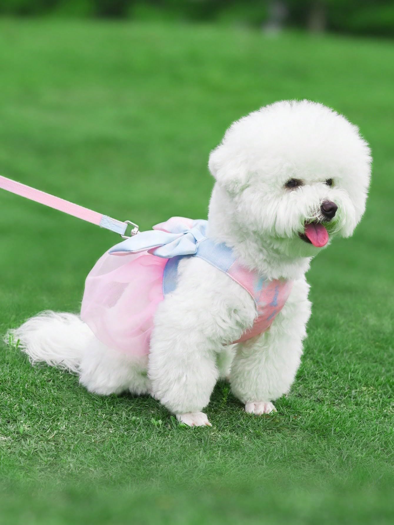 Tie-dye Dog Harness and Leash Set Bow Decor Puppy Cat Harness with Leash Soft No-Pull No Choke Mesh Harness Dress Set Pink L — image 3