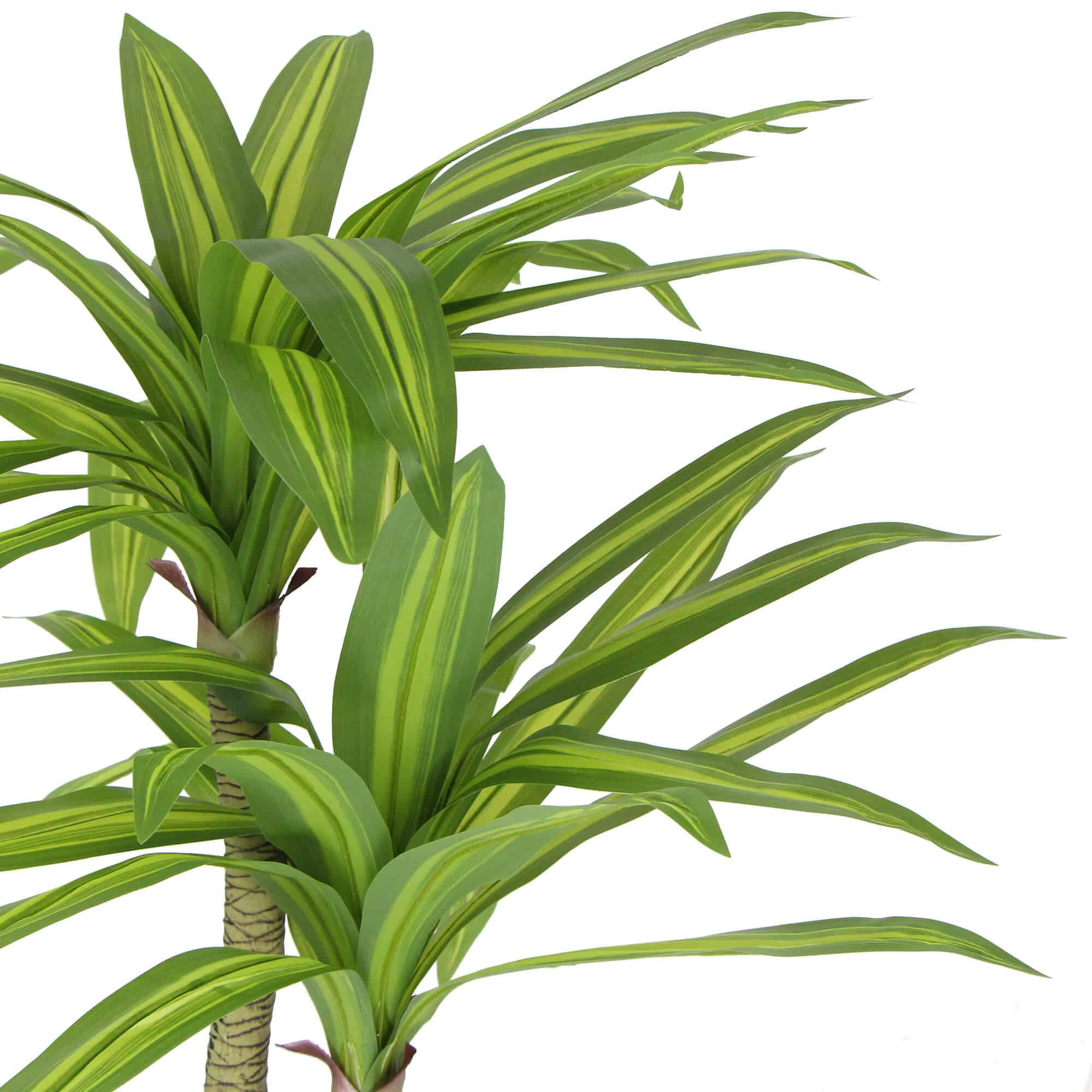 Artificial Multi Head Dracaena Tree with Mixed Green Leaves (Real Touch) 130cm — image 4