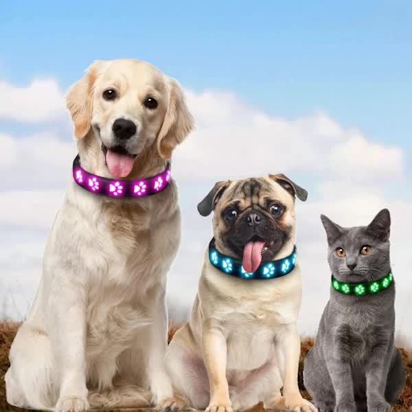 LED Luminous Dog Collar, Rechargeable and Waterproof Dog Collar, Adjustable Collar with 7 Light Modes (Colorful-M) — image 3