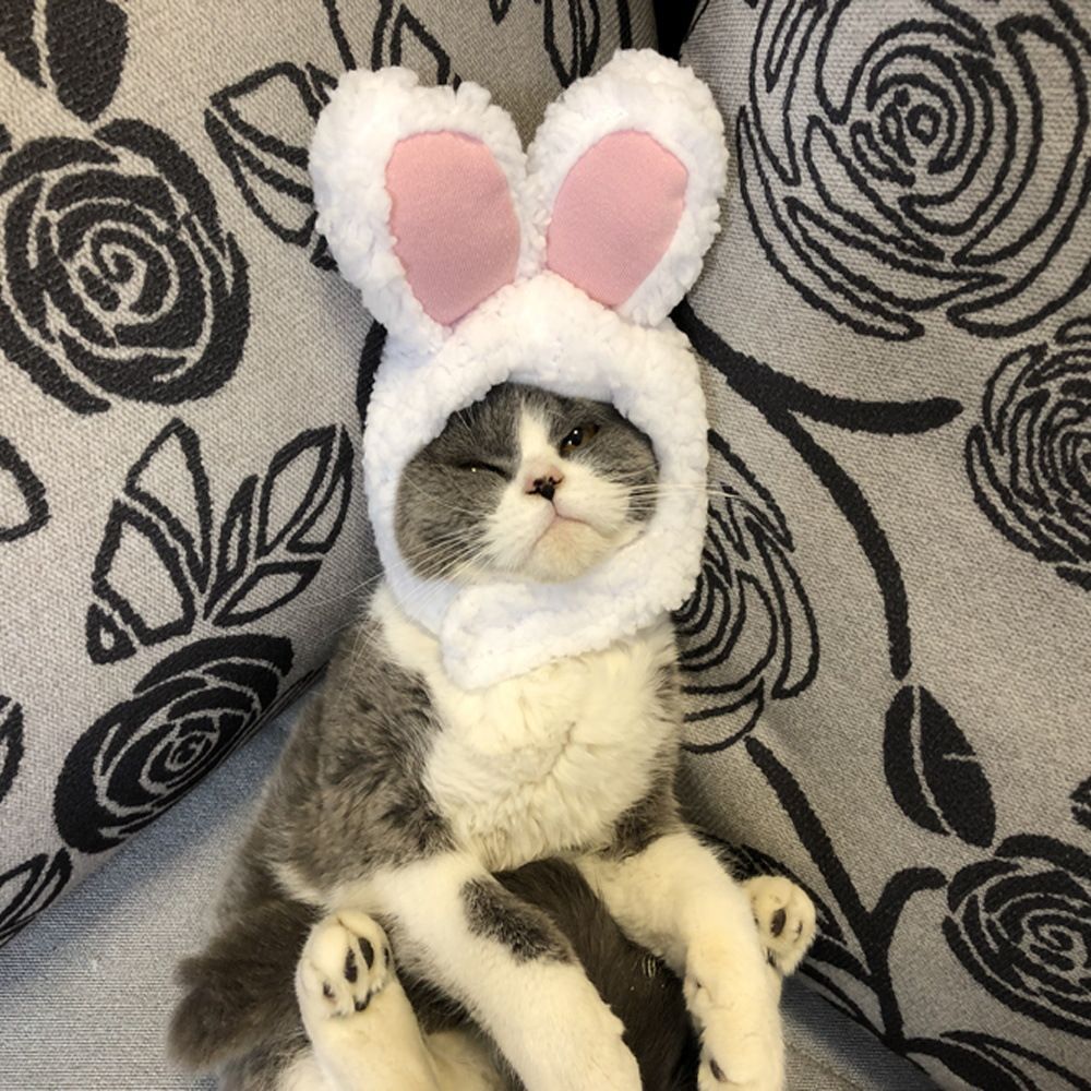 Odd Pet Cat Rabbit Ears Hat White Cloth White Rabbit Hat free size M โ image 3