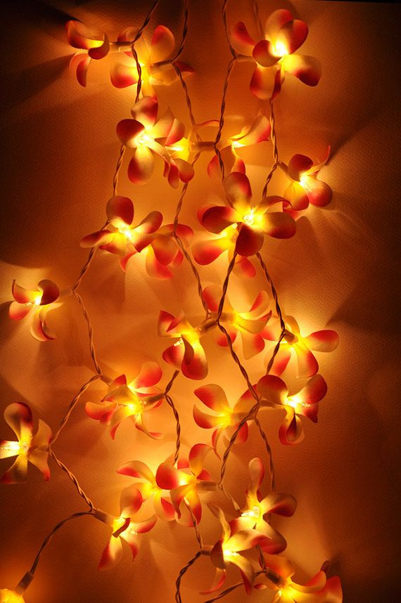 1 Set of 20 LED Orange Frangipani Flower Battery String Lights Christmas Gift Home Wedding Party Decoration Outdoor Table Garland Wreath โ image 3