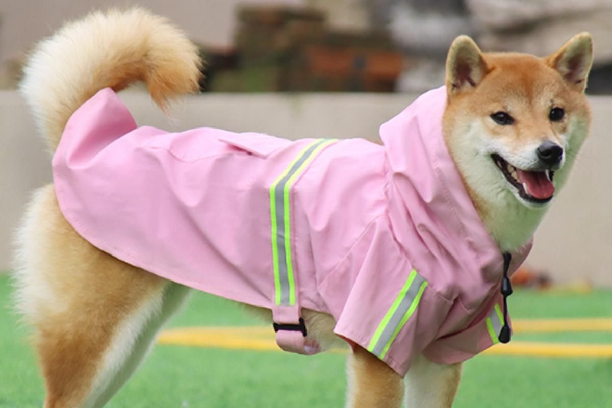 Pet Raincoat Outdoor Waterproof Dog Poncho for Small and Medium Dogs - Pink โ image 2