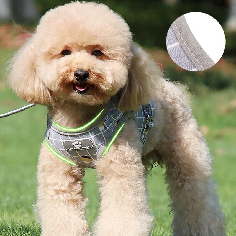 Grey Kitten Dog Cat Walking Harness Lead Leash Collar Pet Vest Mesh Adjustable - S — image 5